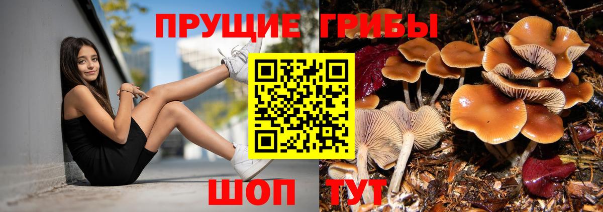 Псилоцибиновые грибы мухоморы  Галлюциногенные грибы мухоморы  что такое   Вход с VPN  Гурьевск 